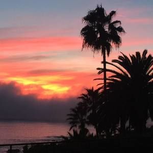 Meet your Posher, Vicki